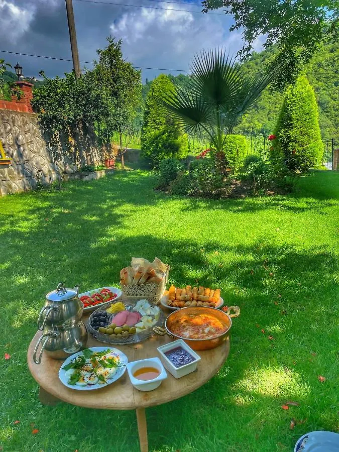 Greenland Villa Premium 61 Trabzon